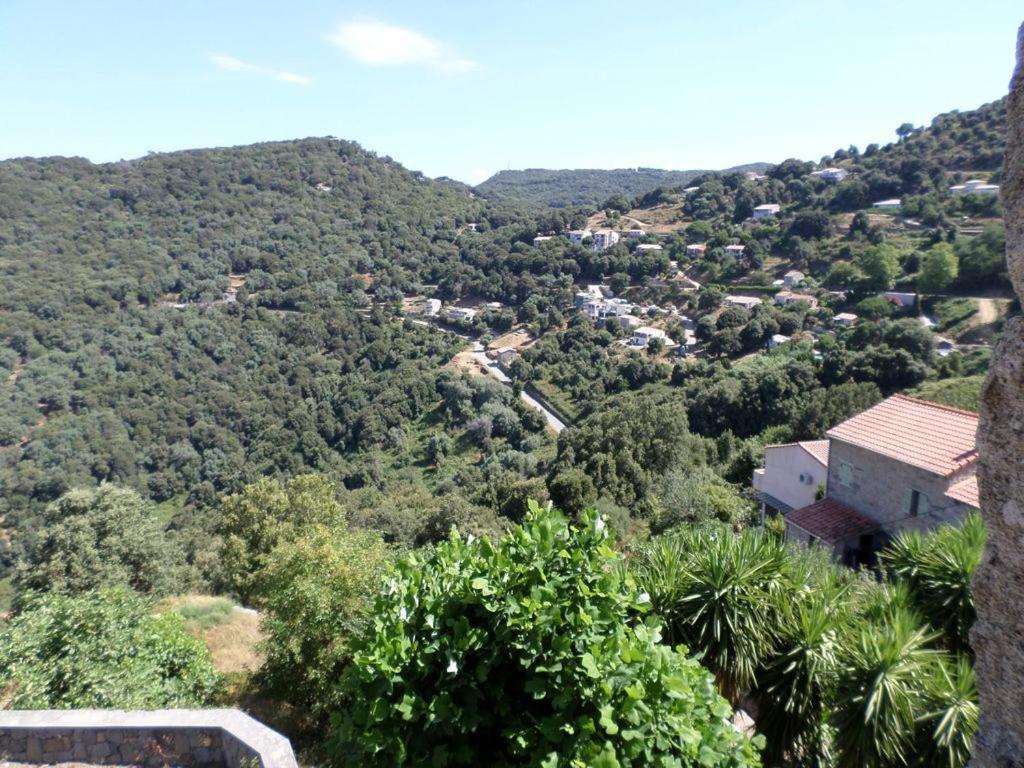 Appartement De Charme Entre Mer Et Montagne Sollacaro Esterno foto